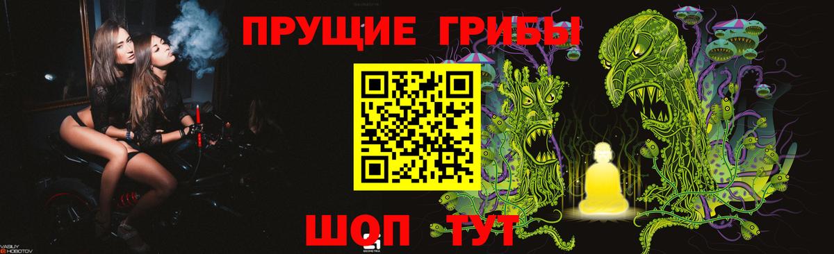 Галлюциногенные грибы Psilocybine cubensis  Вход с VPN  Кызыл 
